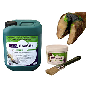 INTRA HOOF-FIT GEL 330ML+PINCEAU