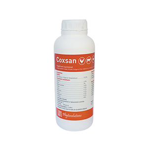 COXSAN 