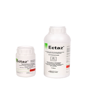 ECTAZ 1 L