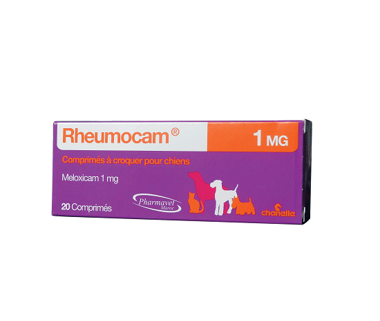 Rheumocam 1mg comprimé