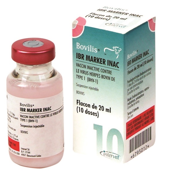 BOVILIS IBR MARKER INAC