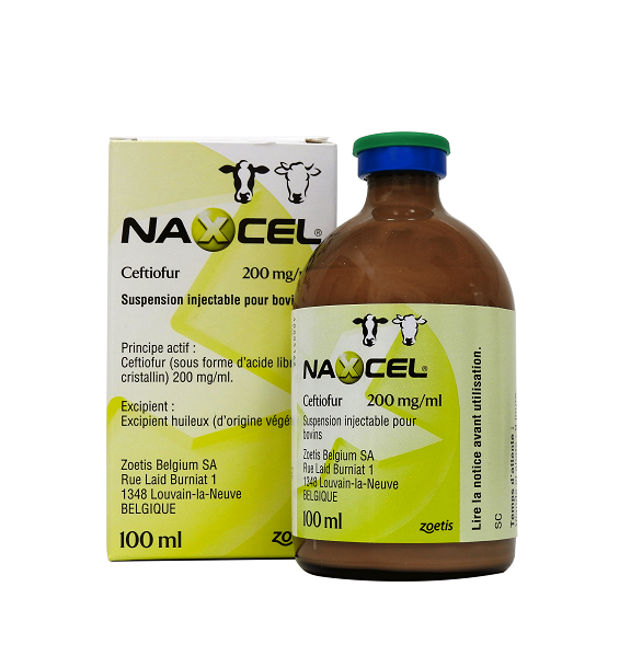 NAXCEL