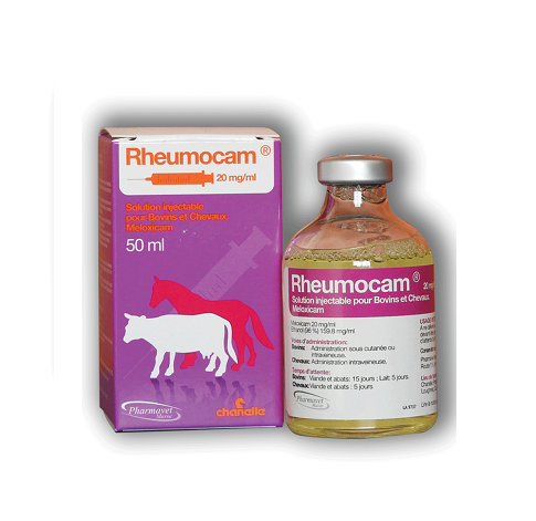 RHEUMOCAM 20 MG / ML.50ML