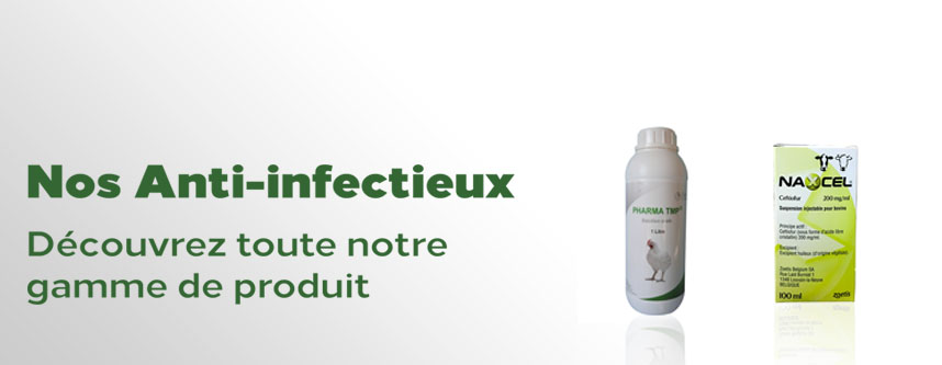 Anti-infectieux